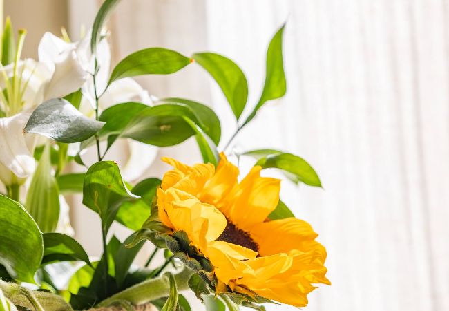 Apartamento en Tarifa - Jardín resguardado del Levante - WIFI Fibra Óptica  Apartamento en Tarifa - Jardín resguardado del Levante - WIFI Fibra Óptica