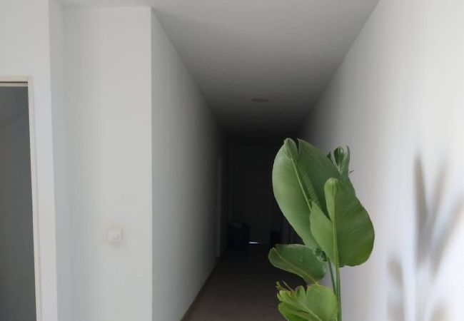 Apartamento en Tarifa - Jardín resguardado del Levante - WIFI Fibra Óptica  Apartamento en Tarifa - Jardín resguardado del Levante - WIFI Fibra Óptica