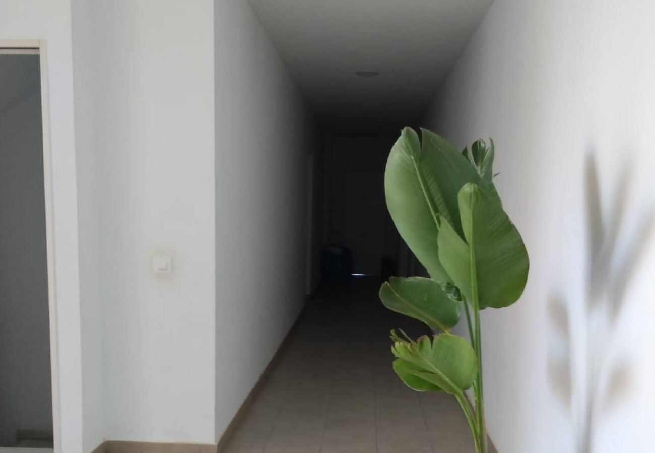 Apartamento en Tarifa - Jardín resguardado del Levante - WIFI Fibra Óptica 