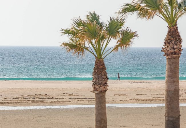 Apartamento en Tarifa - 1a linea playa, piscina & terraza - *SimplyTarifa*  Apartamento en Tarifa - 1a linea playa, piscina & terraza - *SimplyTarifa*