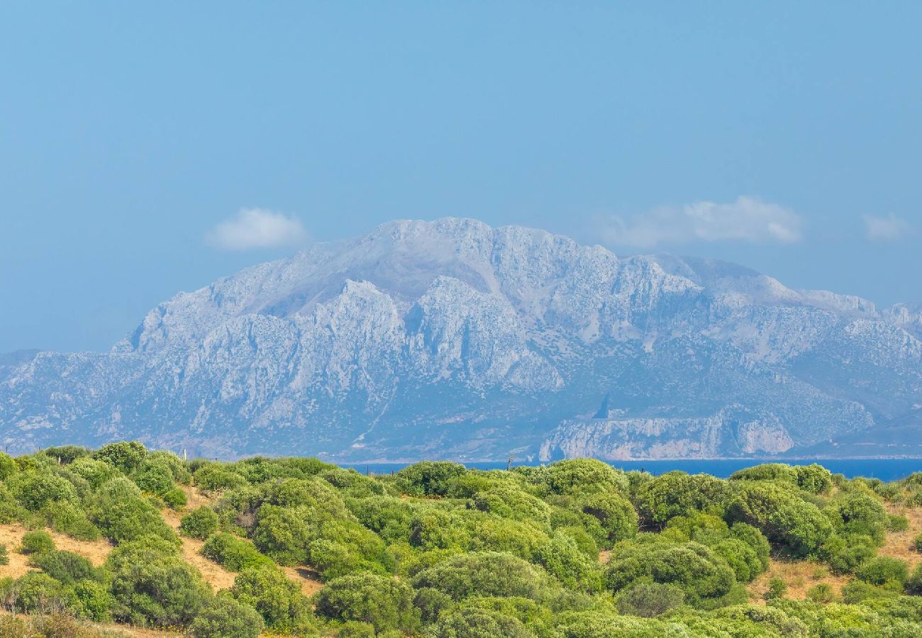 Apartamento en Tarifa - Ático con vistas espectaculares 