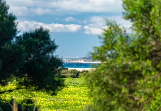 Apartamento en Tarifa - Playa cerca, terraza acogedora, piscina y fibra  Apartamento en Tarifa - Playa cerca, terraza acogedora, piscina y fibra