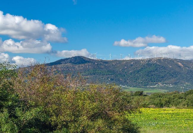 Apartamento en Tarifa - Playa cerca, terraza acogedora, piscina y fibra  Apartamento en Tarifa - Playa cerca, terraza acogedora, piscina y fibra