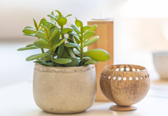 Apartamento en Tarifa - 1a linea playa, piscina, terraza y WIFI fibra  Apartamento en Tarifa - 1a linea playa, piscina, terraza y WIFI fibra