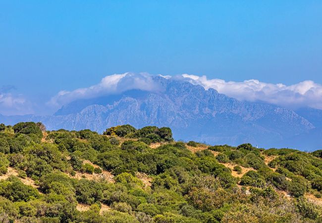 Residence in Tarifa - Spacious terrace, pool, private garage, and fiber internet Residence in Tarifa - Spacious terrace, pool, private garage, and fiber internet