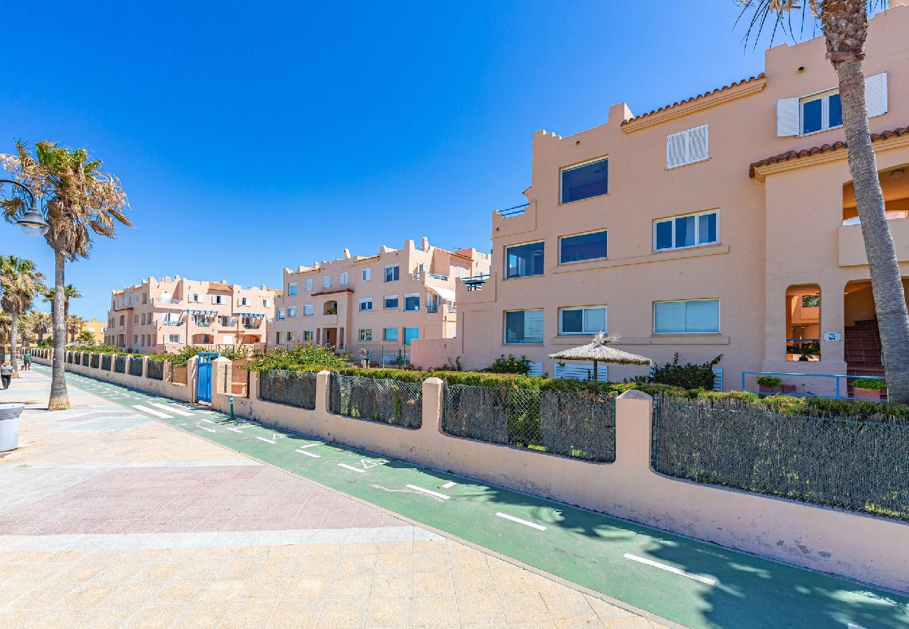 Apartment in Tarifa - Beachfront, pool, terrace & WIFI - *SimplyTarifa* 