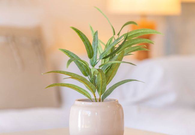 Apartment in Tarifa - 2nd line beach, garden, office & WIFI  Apartment in Tarifa - 2nd line beach, garden, office & WIFI