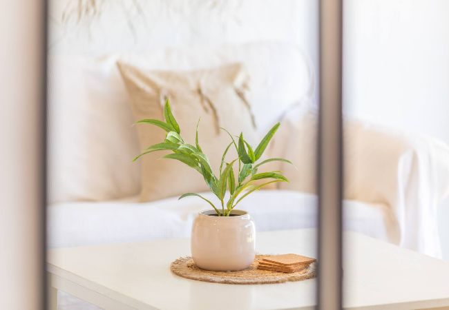 Apartment in Tarifa - 2nd line beach, garden, office & WIFI  Apartment in Tarifa - 2nd line beach, garden, office & WIFI