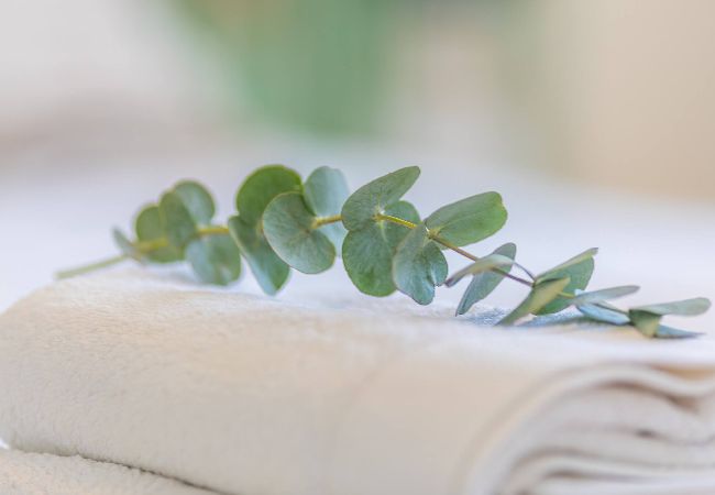 Apartment in Tarifa - 1st line beach, pool, terrace & fibre WIFI  Apartment in Tarifa - 1st line beach, pool, terrace & fibre WIFI