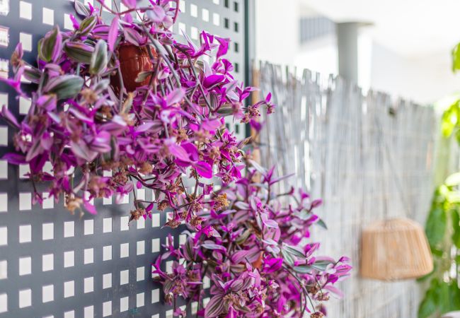 Apartment in Tarifa - Terraces with views, Garage, Pool & High-Speed Wi-Fi Apartment in Tarifa - Terraces with views, Garage, Pool & High-Speed Wi-Fi