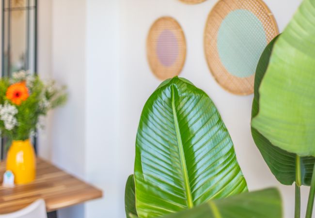 Apartment in Tarifa - Terraces with views, Garage, Pool & High-Speed Wi-Fi Apartment in Tarifa - Terraces with views, Garage, Pool & High-Speed Wi-Fi