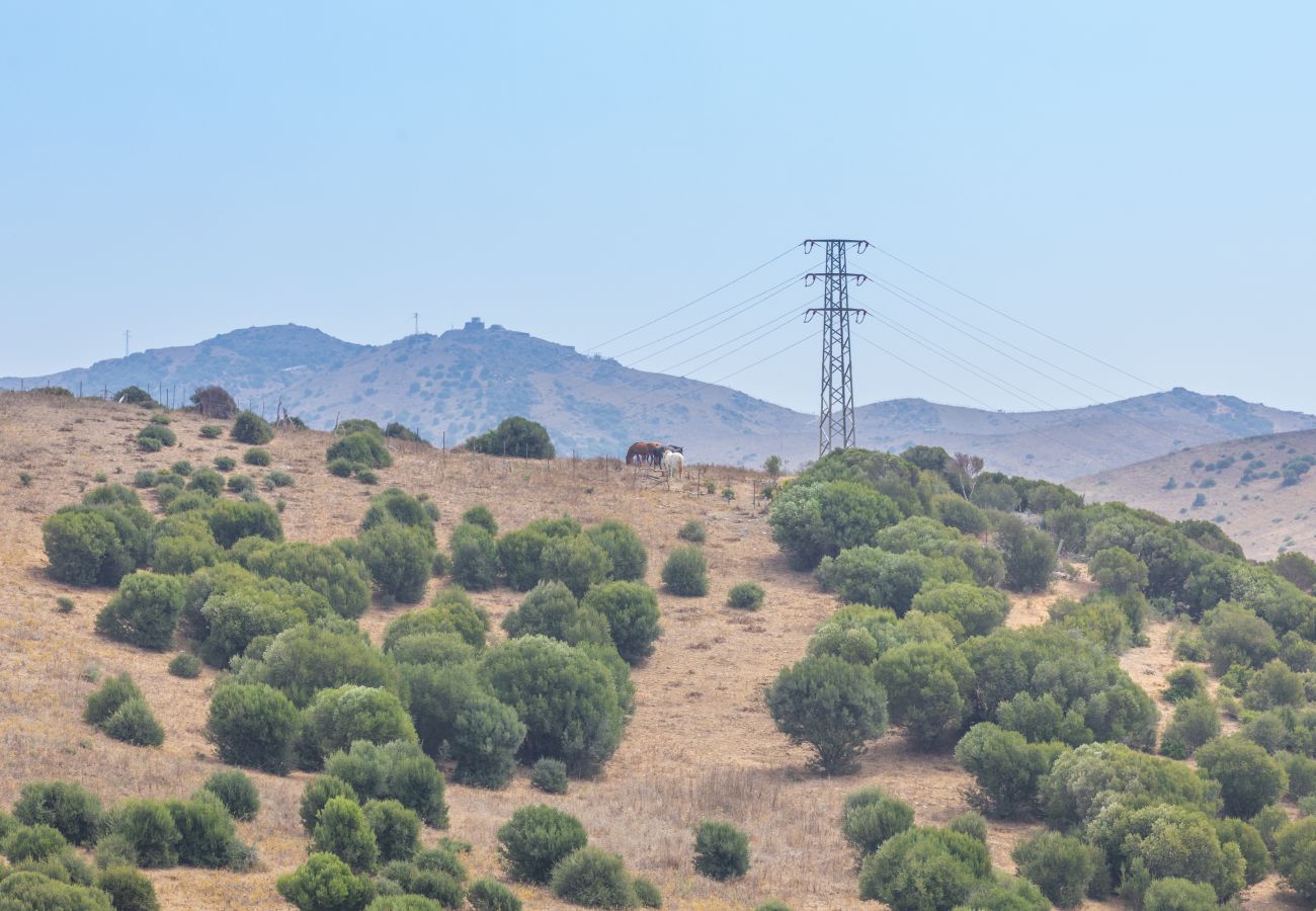 Apartment in Tarifa - Dream Terrace with Strait Views: Exclusive Apartment in Tarifa